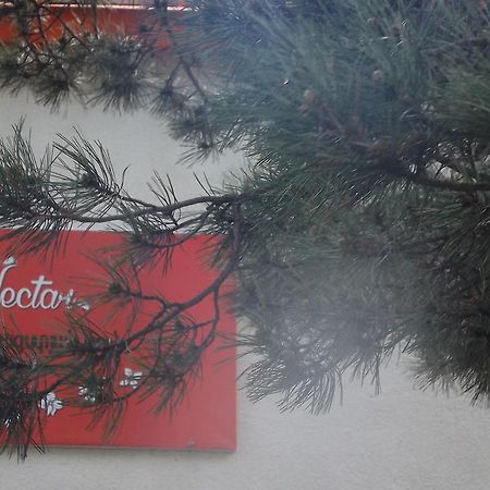 Nectar Hotel Dilijan Bagian luar foto