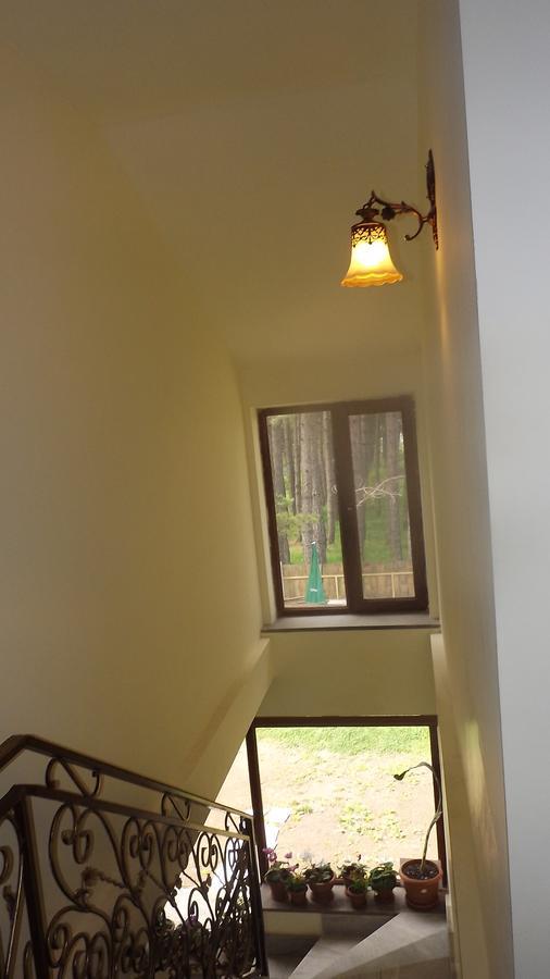 Nectar Hotel Dilijan Bagian luar foto